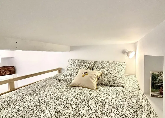 Cosy 5min A Pied Du Sanctuaire Et Grotte Apartment Lourdes